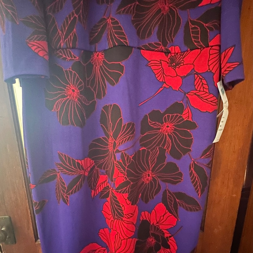 Lovely Dress for Church, Work, and Professional Outings!